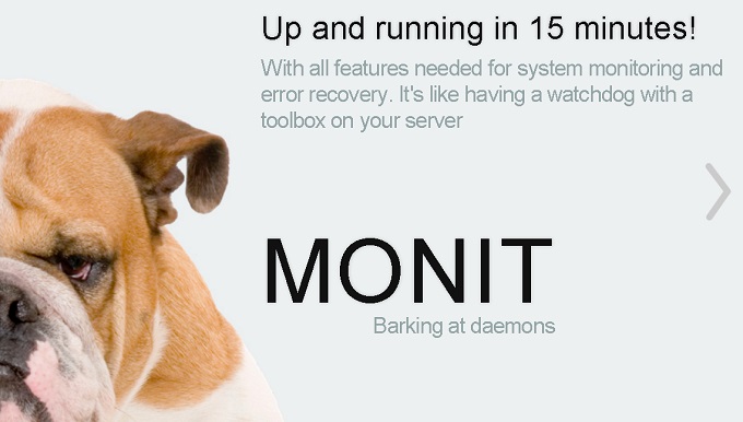 monit not monitored