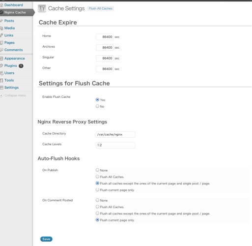 nginx cache controller