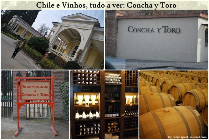 Concha y Toro チリワイン
