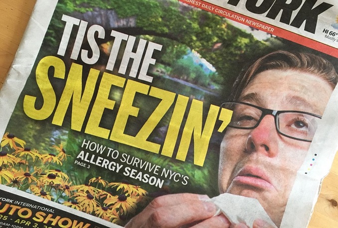 ニューヨークに花粉症の季節がやってきた