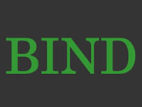 DNS BIND bind