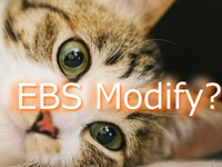 AWS EBSのボリュームを拡張 CentOS7 XFSファイルシステム拡張